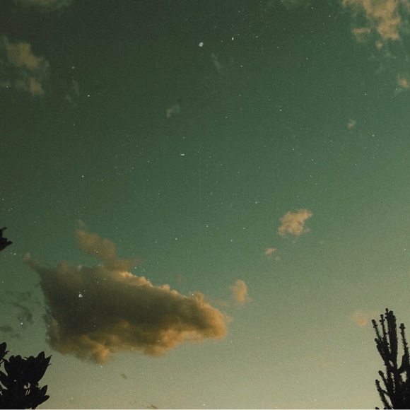 Rocco & Louie - Picture 1 of 16